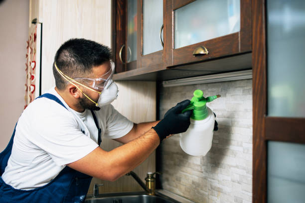Best Emergency Pest Control  in Green Valley, SD