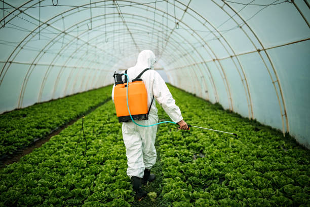 Best Best Pest Control Near Me  in Green Valley, SD