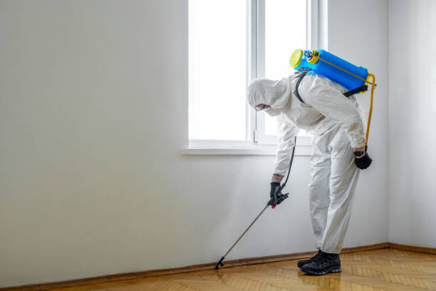 Best Insect Control  in Green Valley, SD