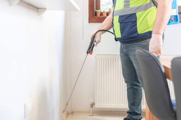 Best Rat Extermination Near Me  in Green Valley, SD