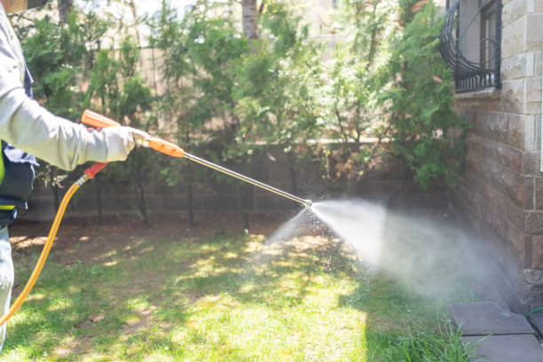 Best Wasp Removal Services  in Green Valley, SD