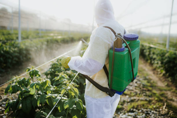 Green Valley, SD Pest Control Company